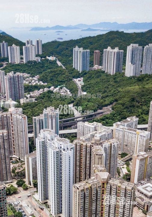 青雅苑 租盤 1 房 , 1 浴室 443 平方呎