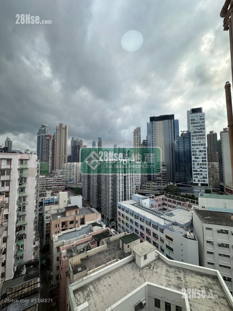 金荔阁 租盘 1 房 , 1 浴室 242 平方尺