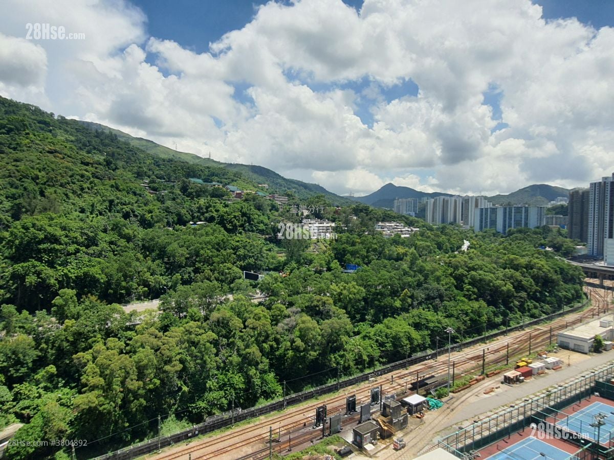 时贸中心 租盘 1 房 , 1 厕所