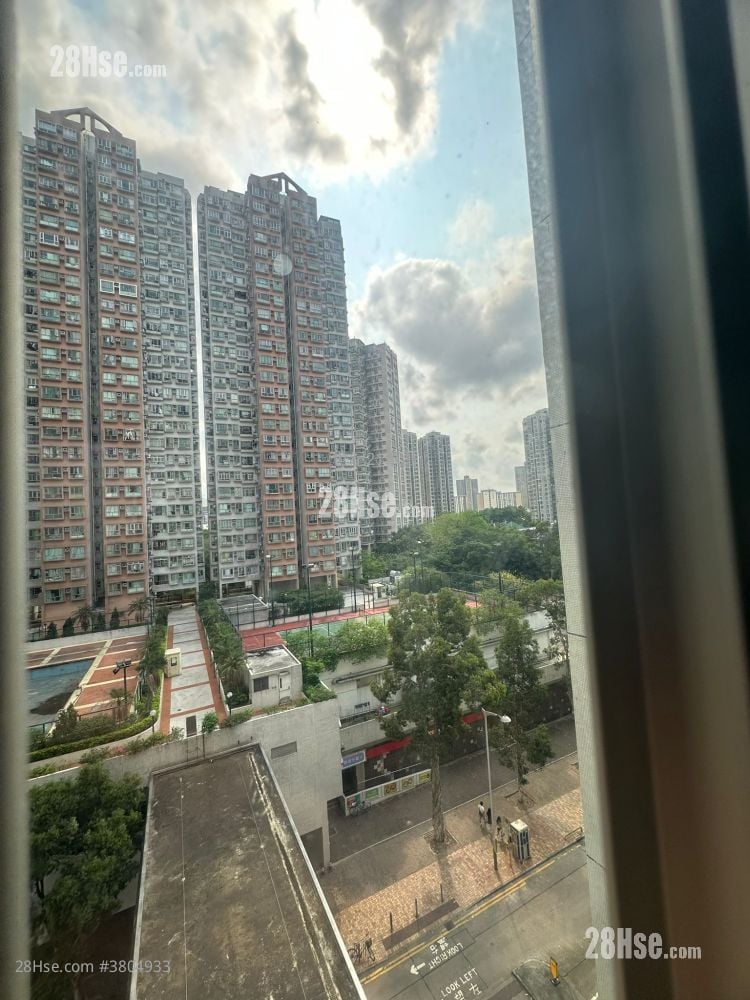 顺欣花园 售盘 428 平方尺