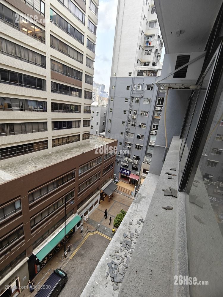 天星大厦 租盘 开放式间隔 130 平方尺