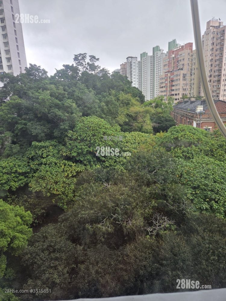 海洋大厦 租盘 2 房 , 1 浴室 327 平方尺