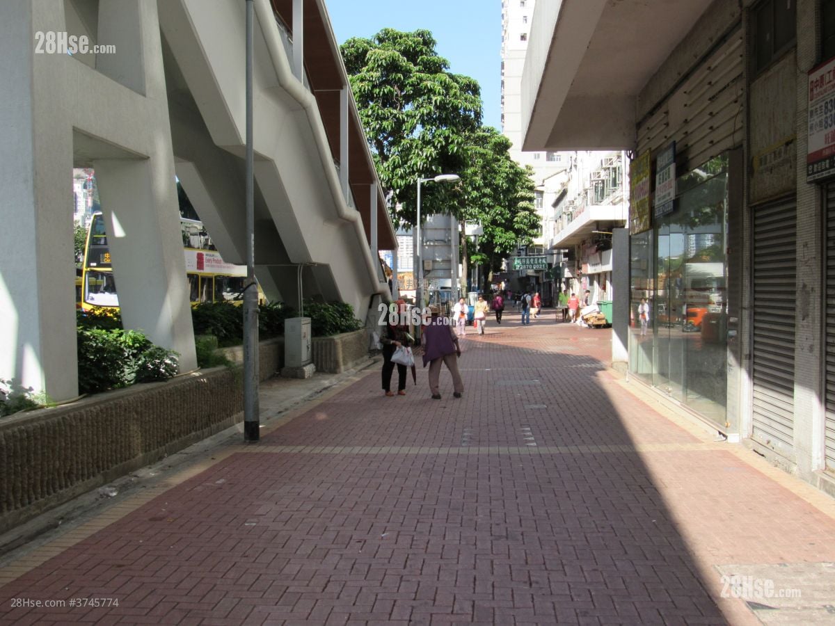 景惠花园 售盘 478 平方尺