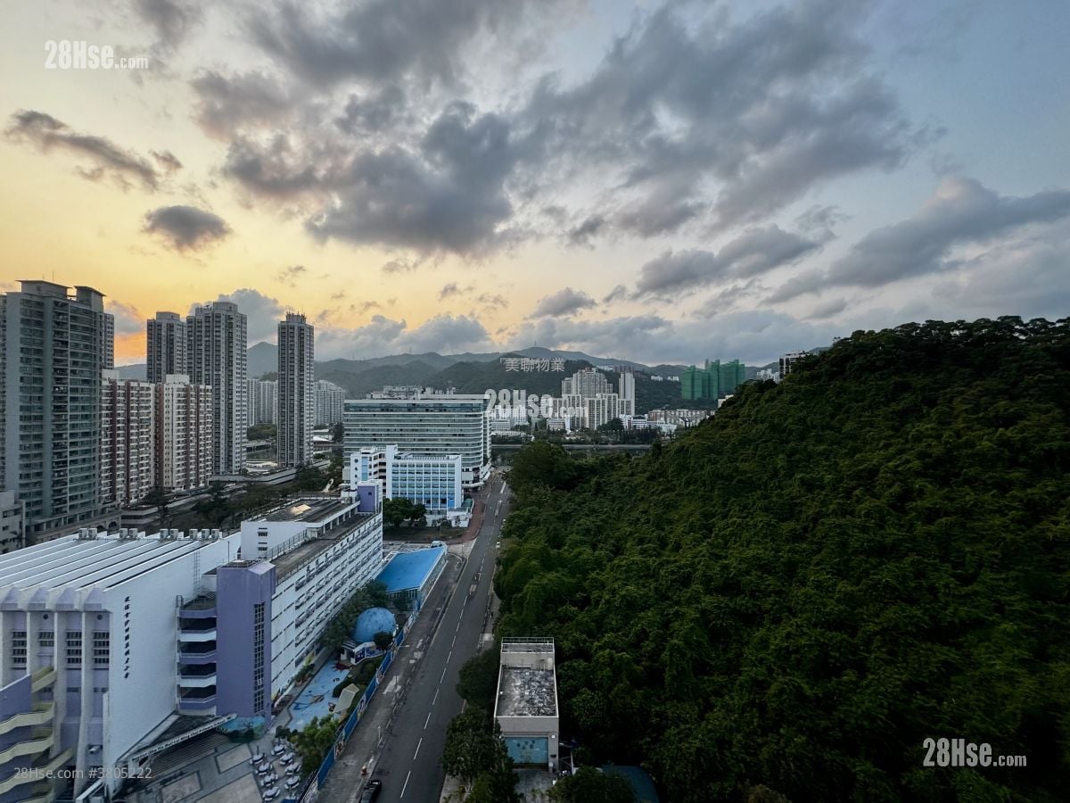 Springfield Garden Sell 2 Bedrooms , 1 Bathroom 316 ft²