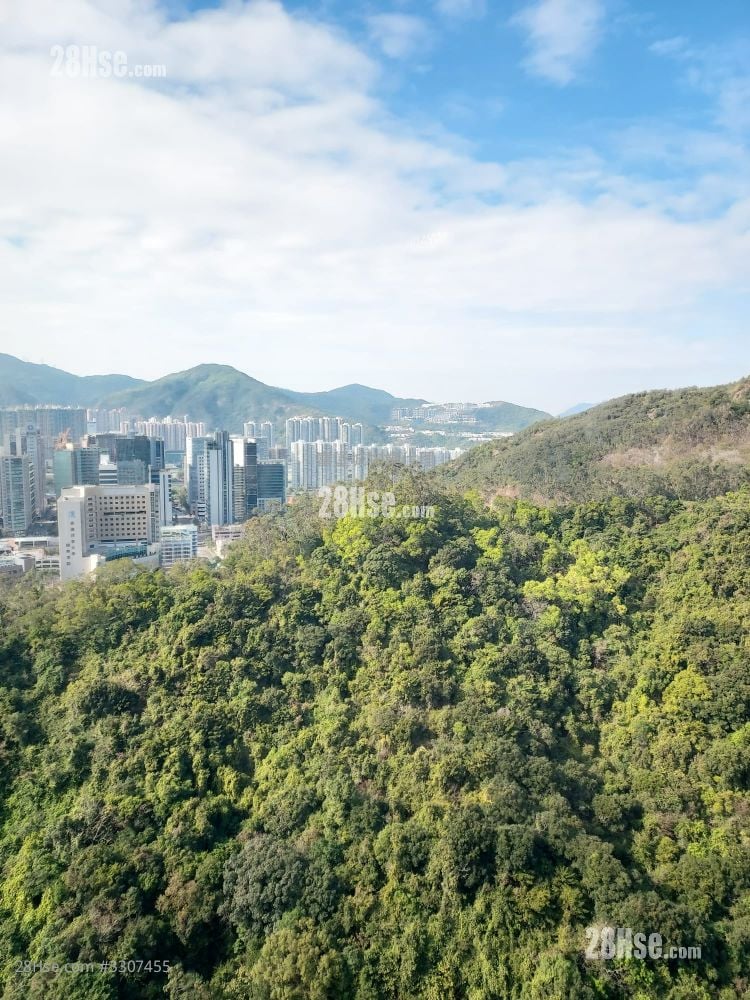 Castello Sell 3 Bedrooms , 2 Bathrooms 580 ft²