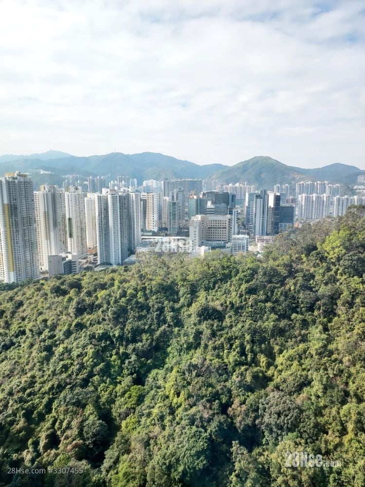 Castello Sell 3 Bedrooms , 2 Bathrooms 580 ft²