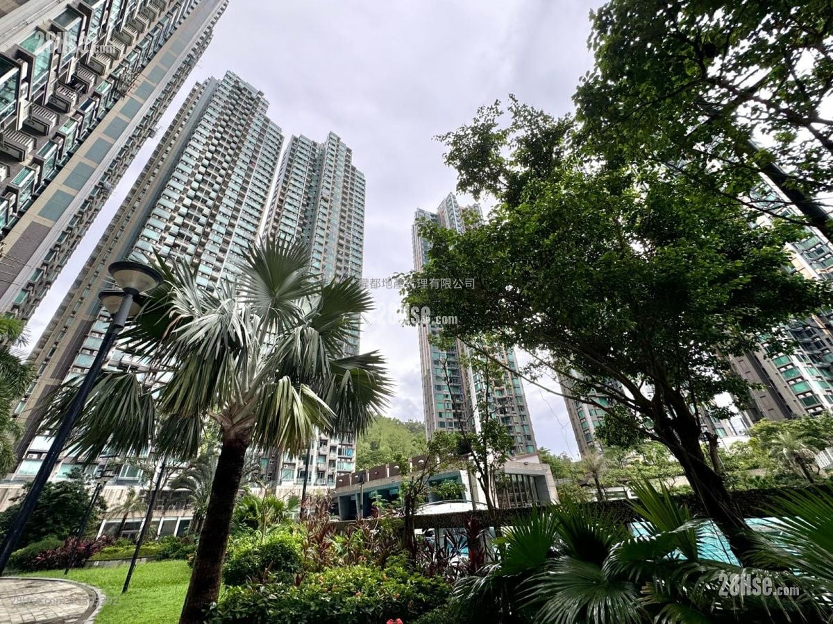 峻滢 租盘 2 房 , 1 浴室 501 平方尺