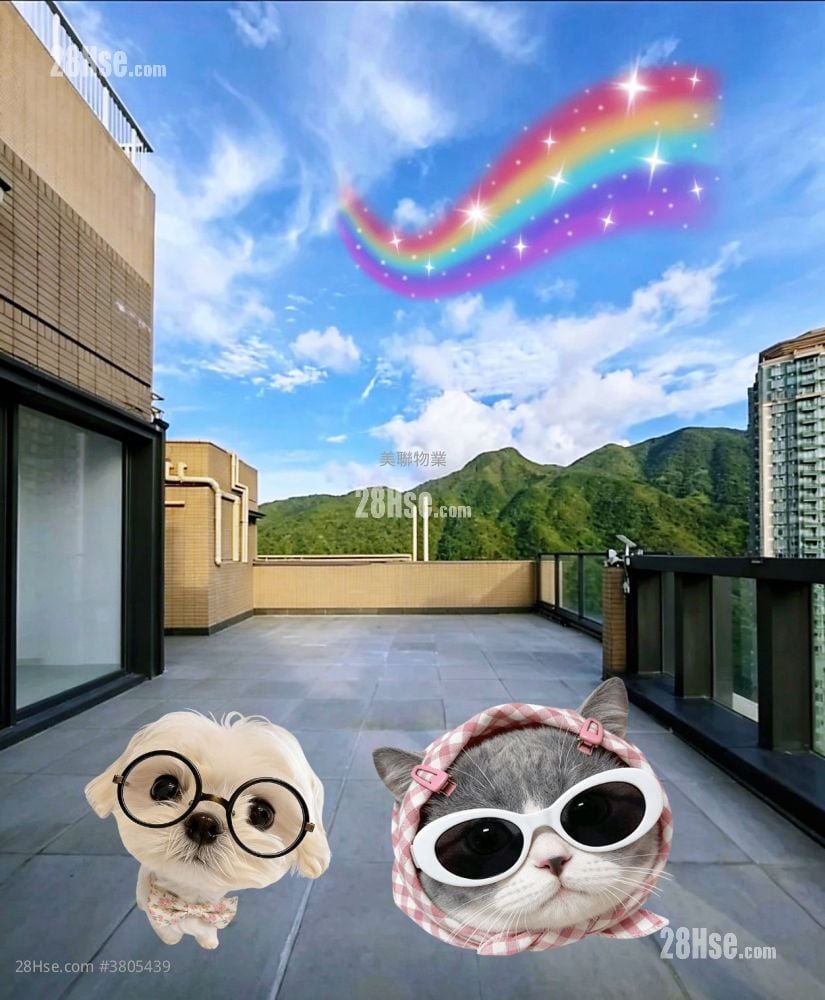 rooftoop: The Visionary Sell 3 Bedrooms , 2 Bathrooms 1,489 ft²