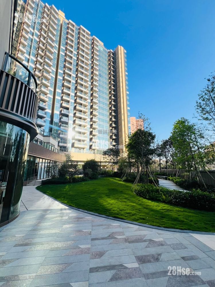 Gold Coast Bay Sell Studio , 1 Bathroom 208 ft²