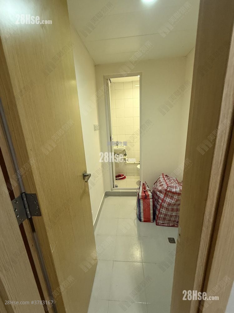 The Visionary Rental 3 Bedrooms , 3 Bathrooms 1,034 ft²