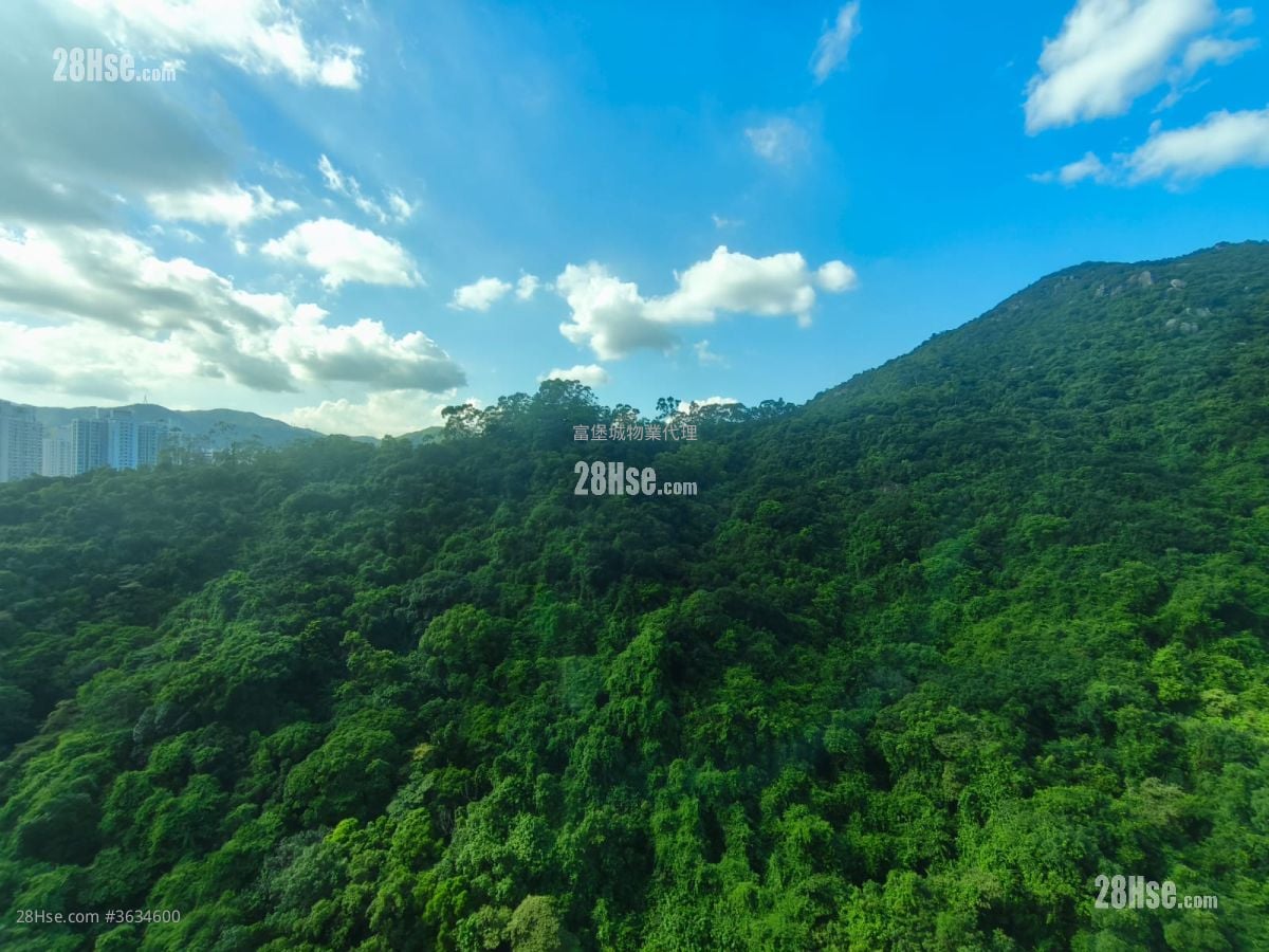 Castello Sell 2 Bedrooms , 1 Bathroom 547 ft²