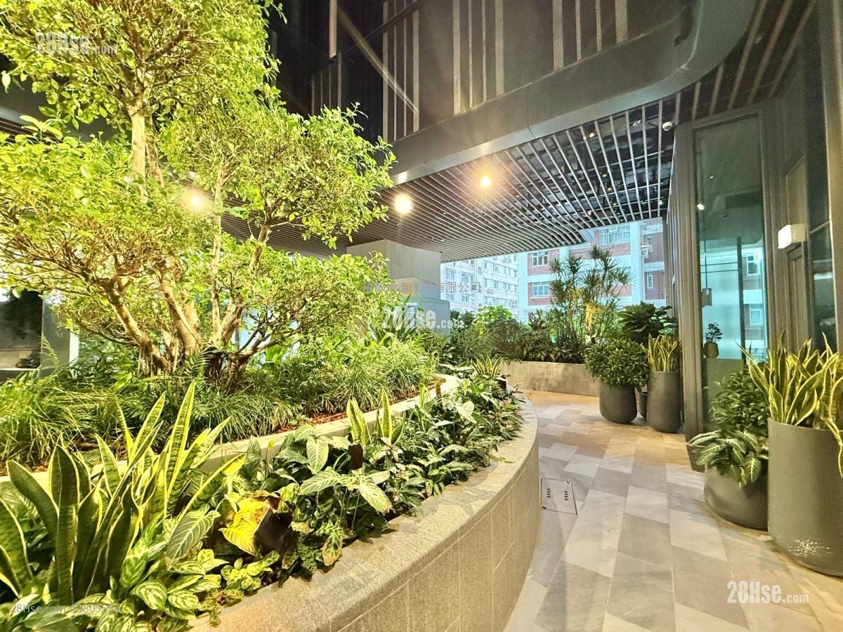 晓柏峰 租盘 1 房 , 1 浴室 243 平方尺