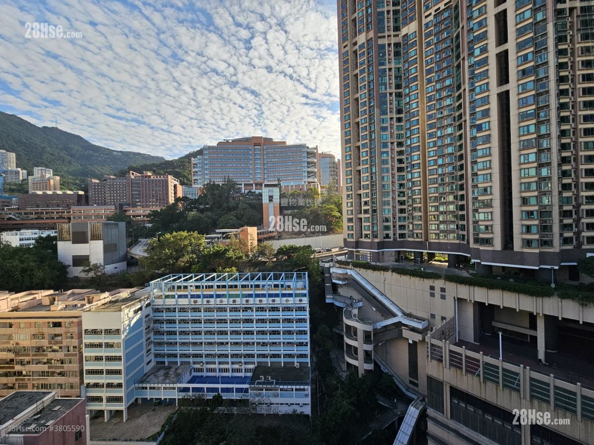 Eight South Lane Rental 1 Bedroom , 1 Bathroom 314 ft²