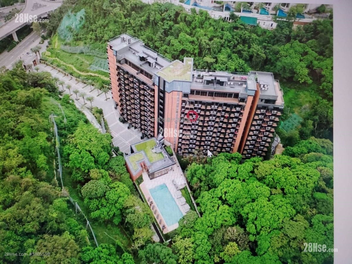 荟荞 租盘 开放式间隔 , 1 浴室 252 平方尺