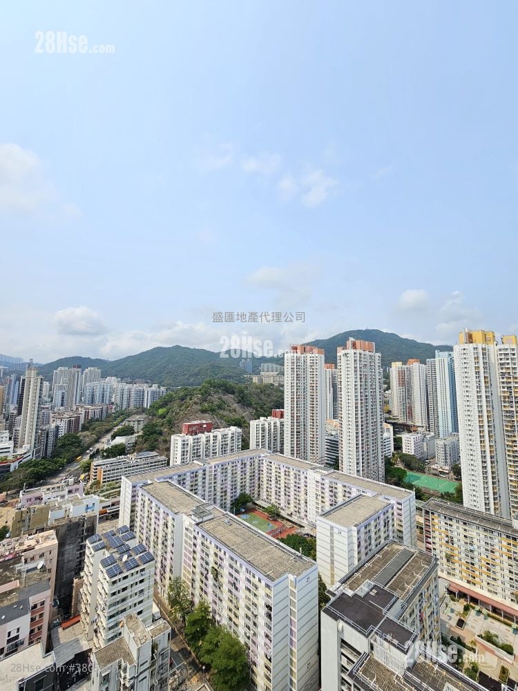 晓尚 租盘 1 房 , 1 浴室 332 平方尺