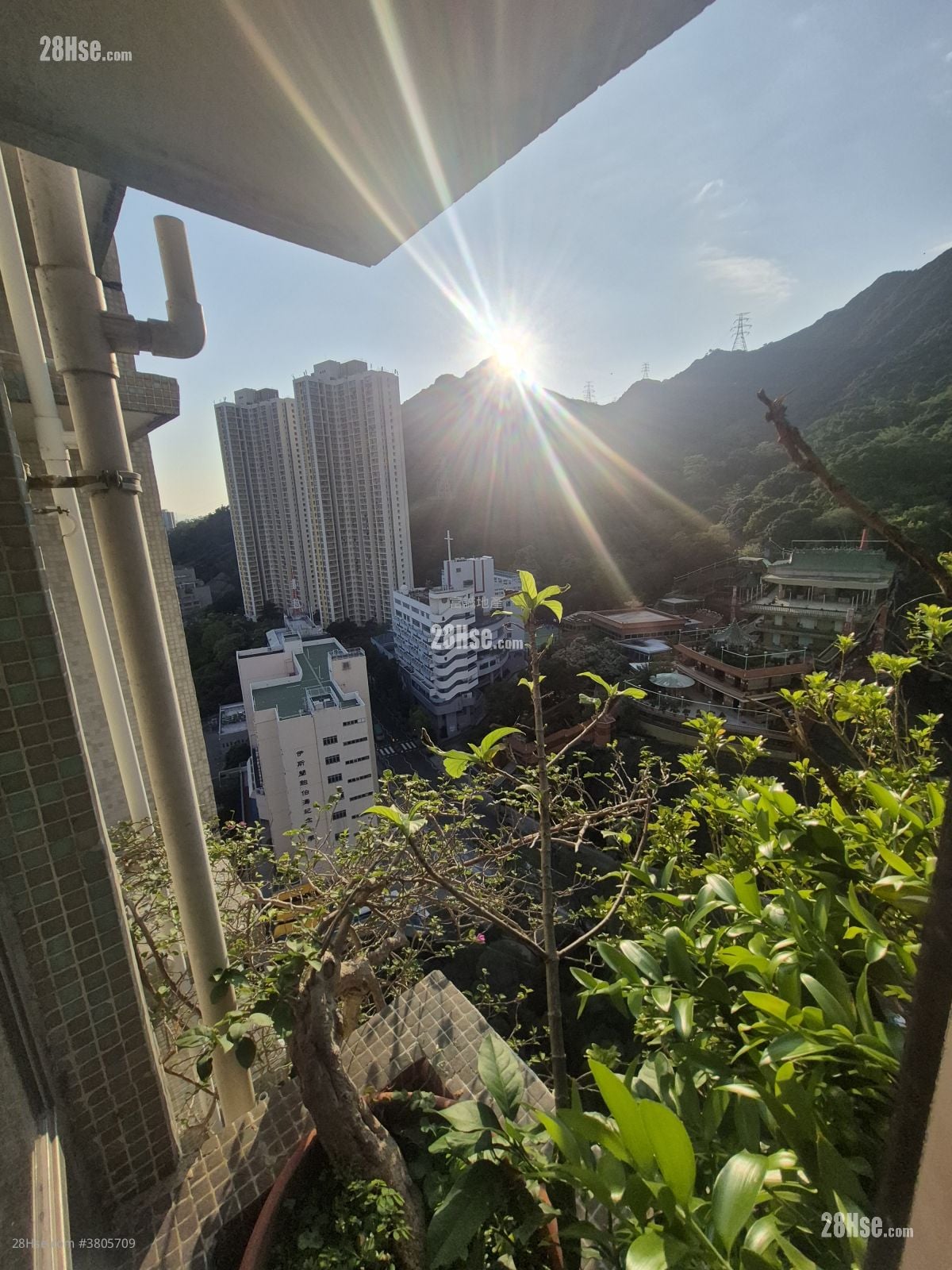 慈爱苑 售盘 3 房 , 1 浴室 645 平方尺