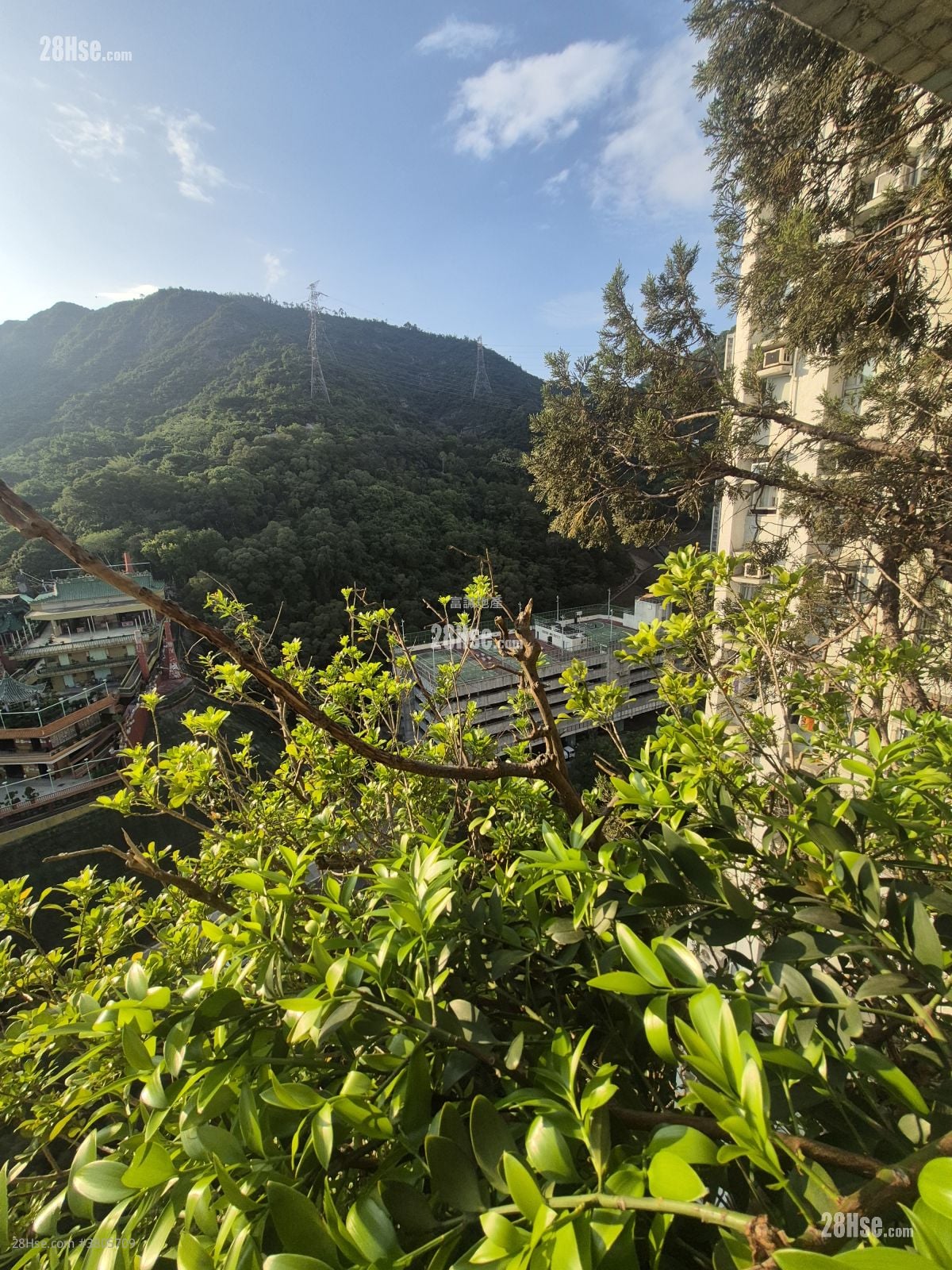 慈爱苑 售盘 3 房 , 1 浴室 645 平方尺