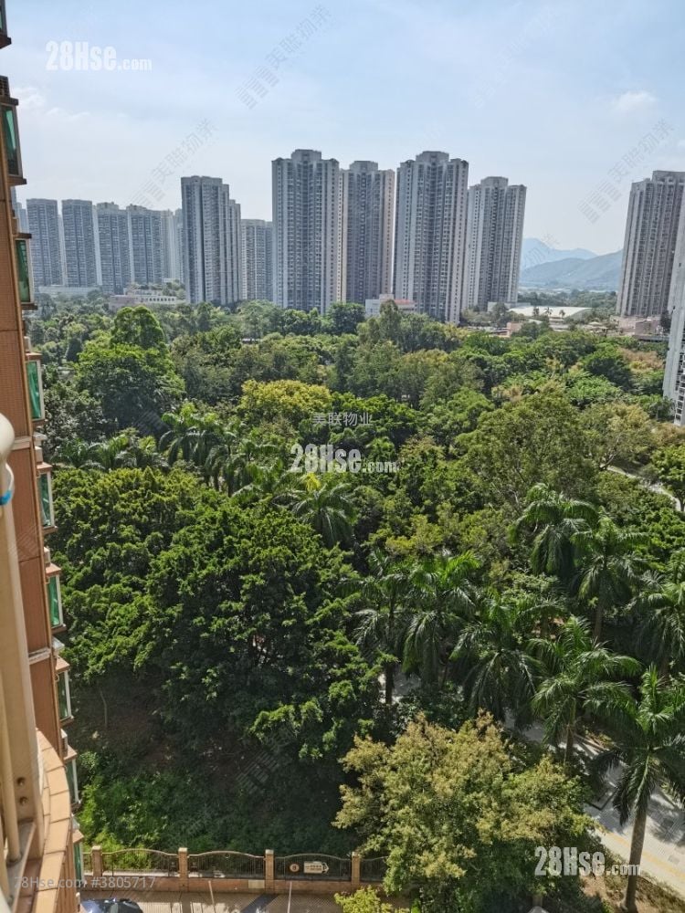 景观: 栢慧豪园 租盘 2 房 494 平方尺