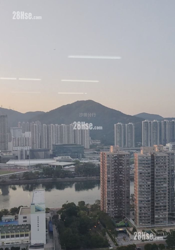 New Trade Plaza Rental 966 ft²