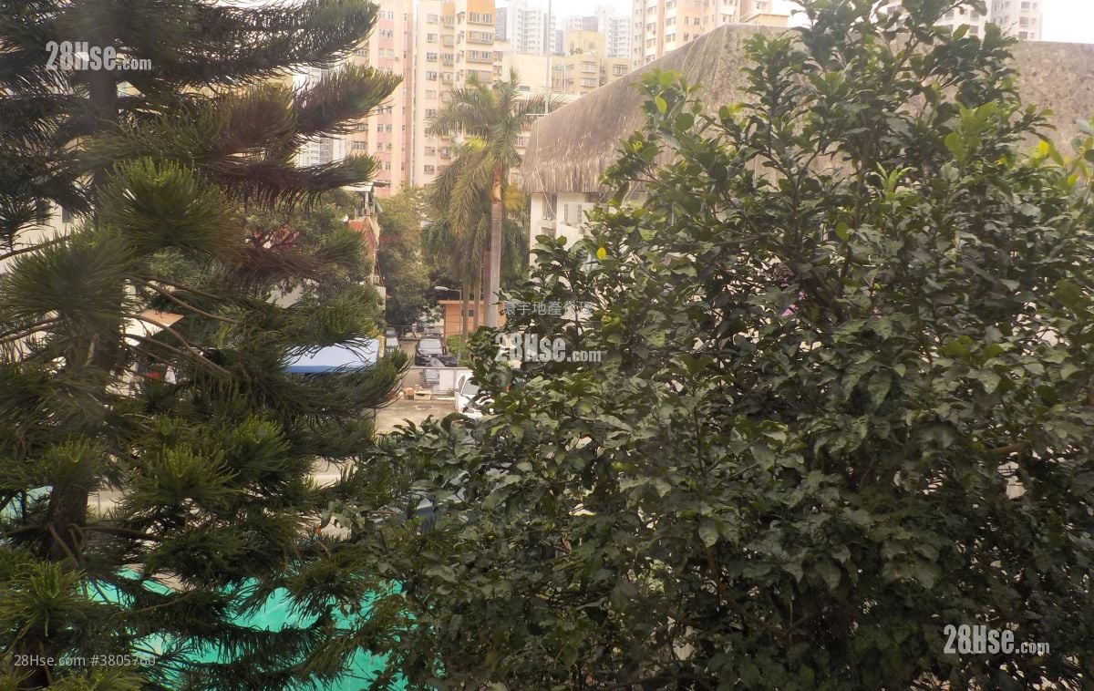 新墟村 售盘 2 房 , 1 浴室 780 平方尺