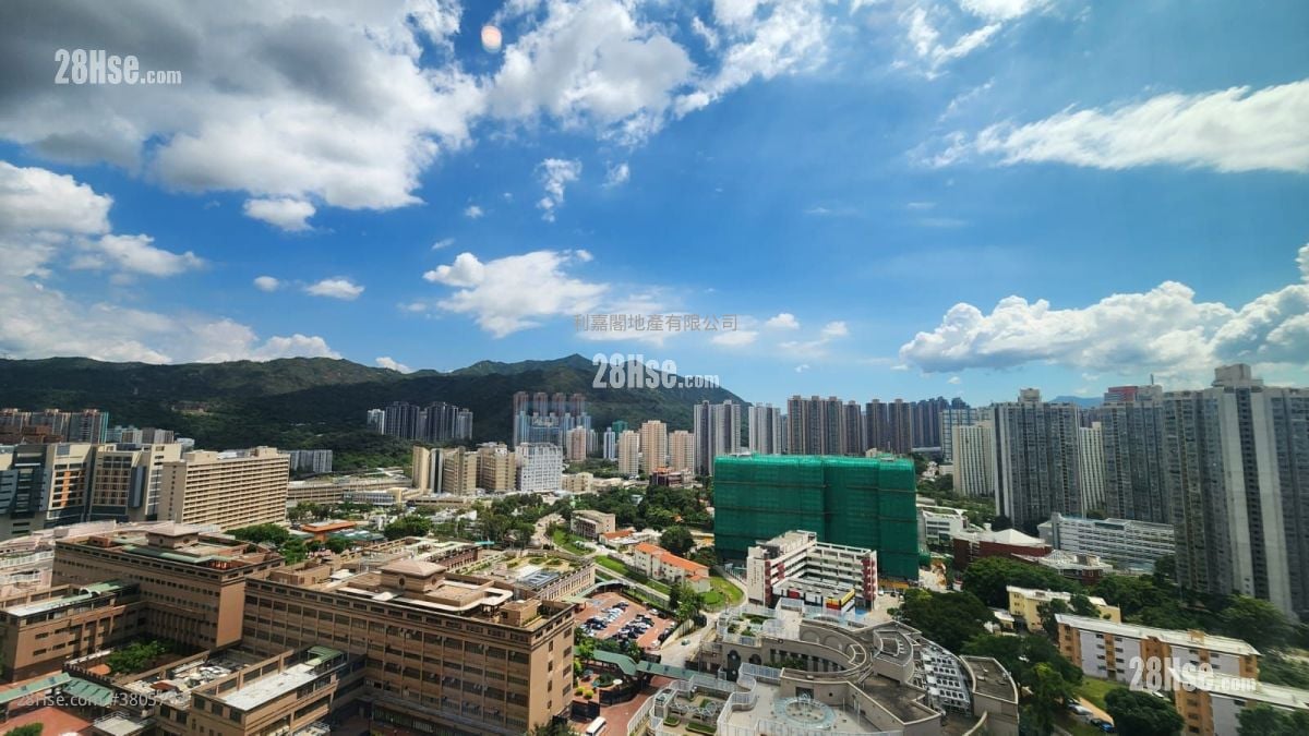 Novo Land Sell 3 Bedrooms 685 ft²