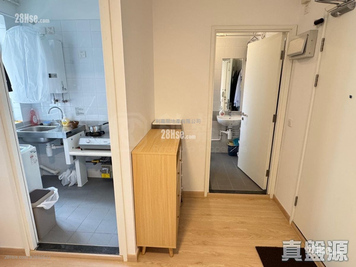 青富苑 售盘 1 房 286 平方尺