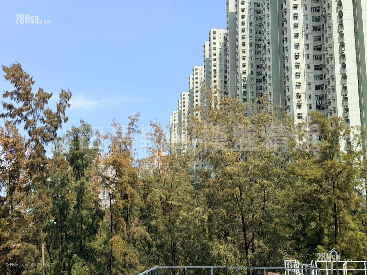 荟朗 售盘 2 房 , 1 浴室 363 平方尺