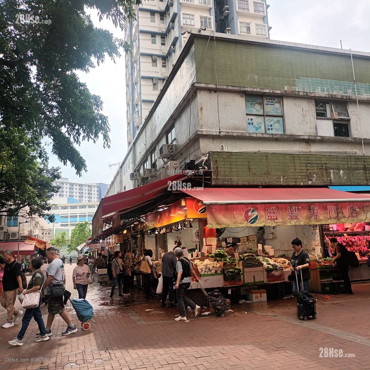 丽宝大厦 租盘 1 房 , 1 浴室 248 平方尺