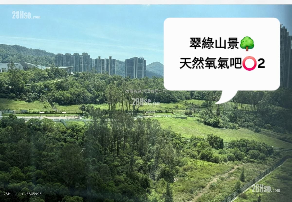 清水湾半岛 售盘 3 房 679 平方尺