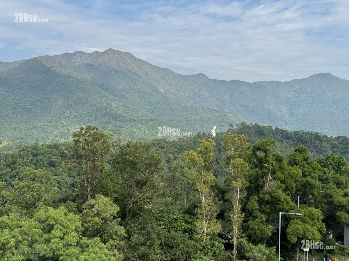 Villa Lucca Sell 3,342 ft²