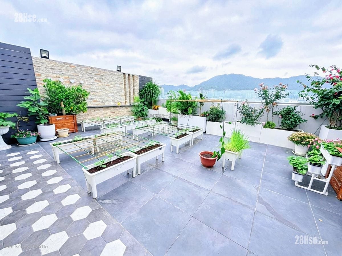 明苑 售盘 4 房 , 5+ 浴室 2,271 平方尺