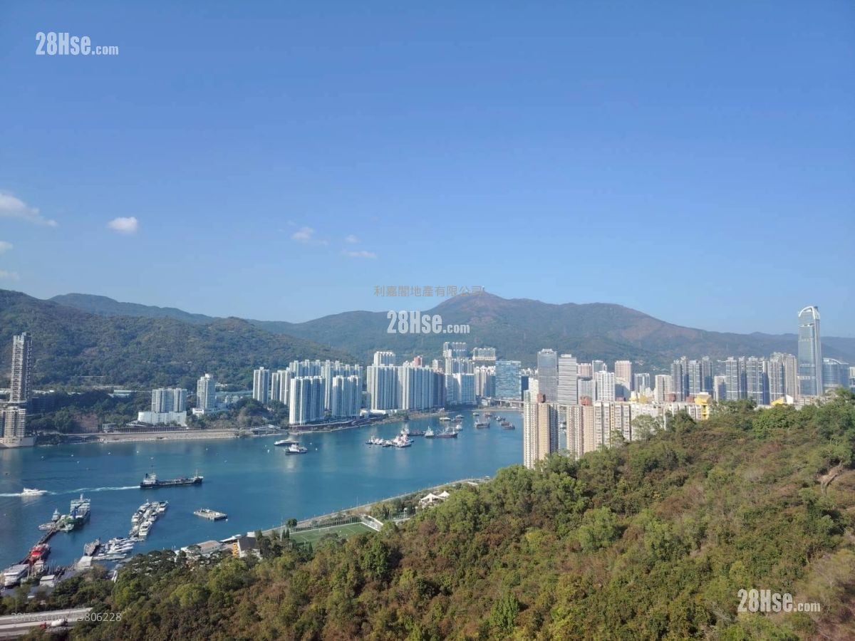 荟蓝 租盘 开放式间隔 , 1 浴室 207 平方尺