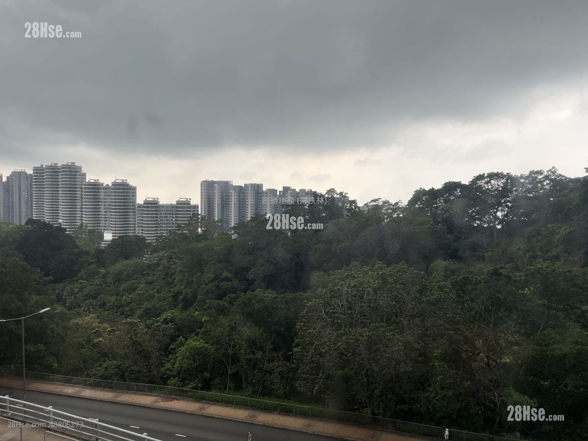 Chi Fu Fa Yuen Sell 2 Bedrooms , 1 Bathroom 448 ft²