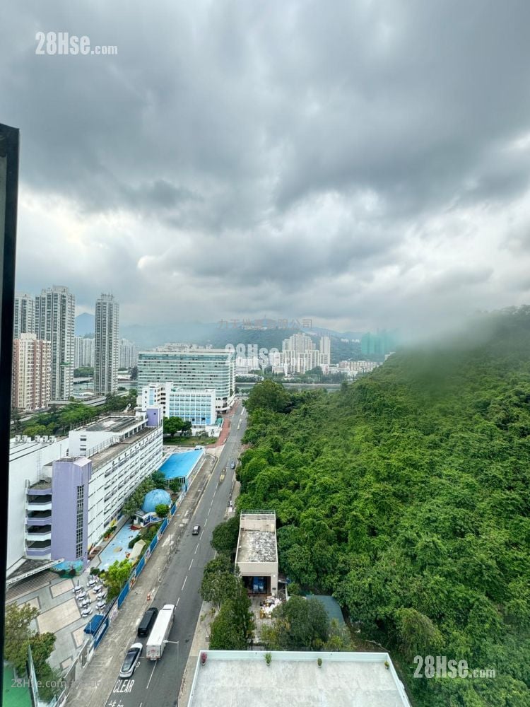 Springfield Garden Sell 1 Bedroom , 1 Bathroom 316 ft²