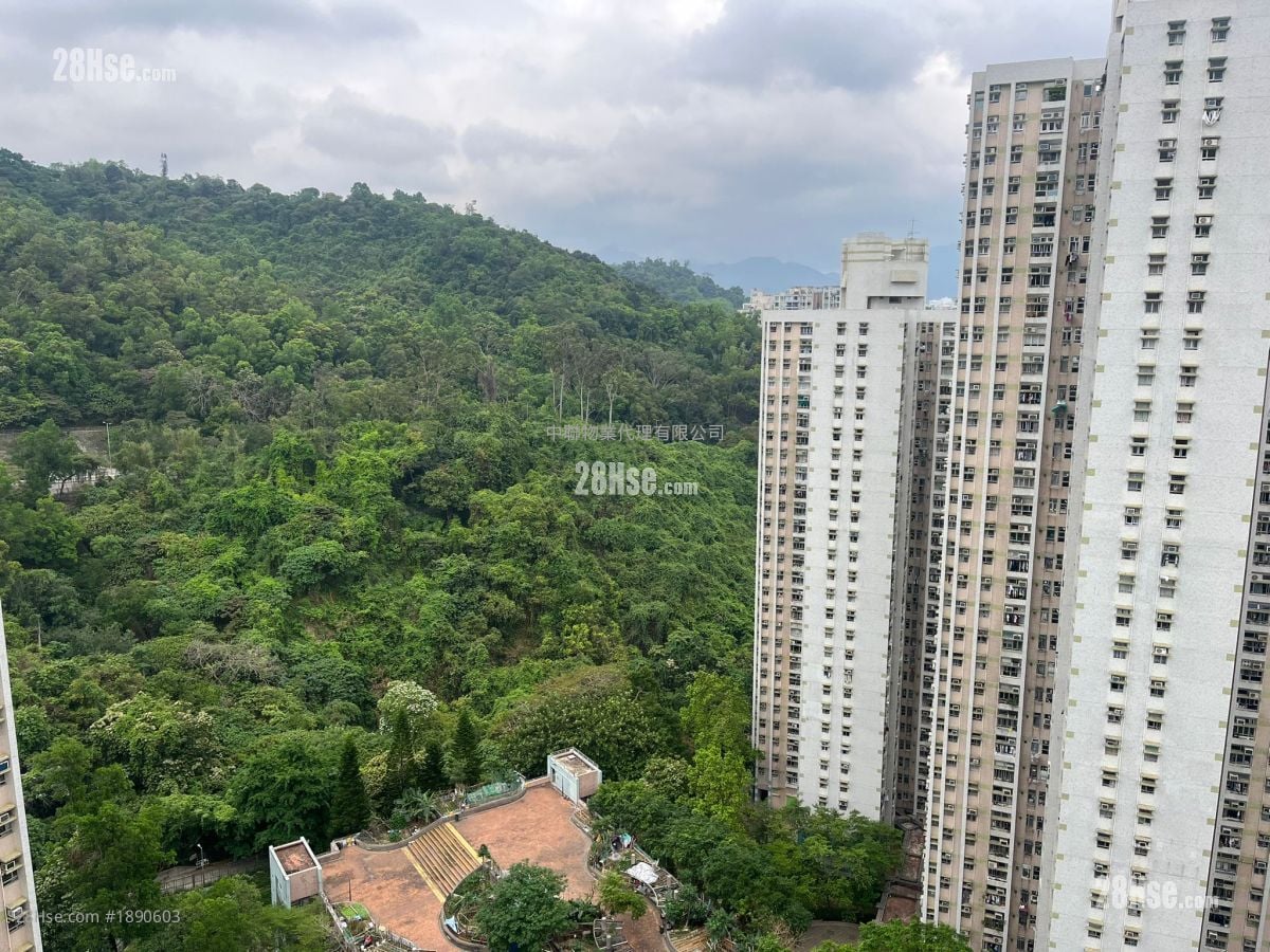 美松苑 售盘 554 平方尺