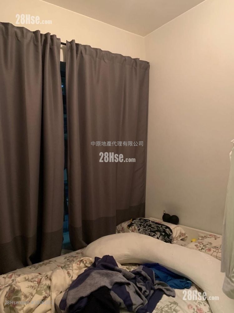 晓悦 售盘 1 房 273 平方尺