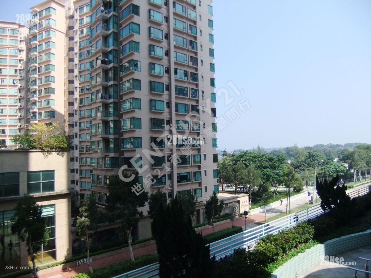 马鞍山中心 售盘 2 房 , 1 浴室 375 平方尺