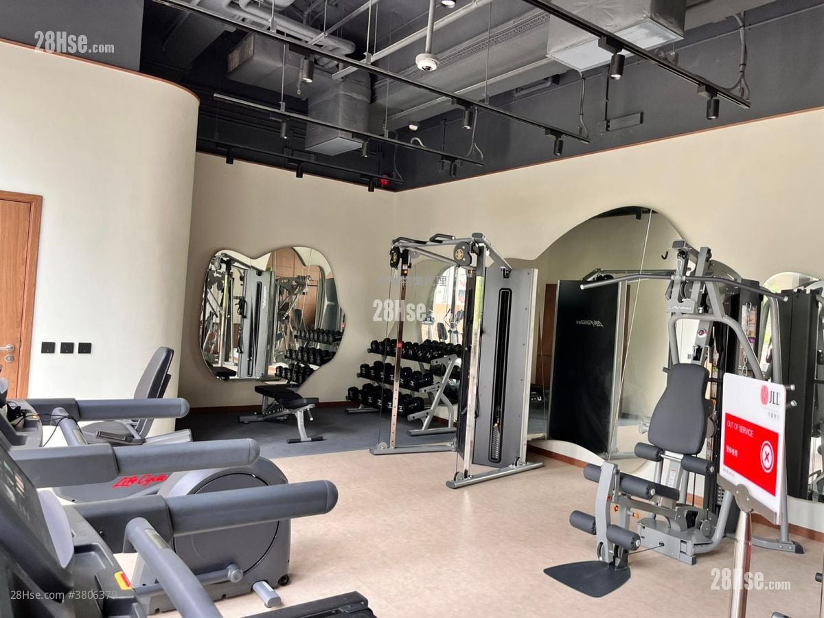 Mangrove Rental 1 Bedroom , 1 Bathroom 250 ft²