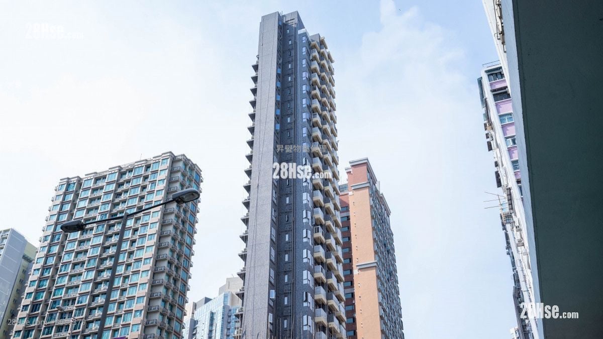 Mangrove Rental 1 Bedroom , 1 Bathroom 250 ft²