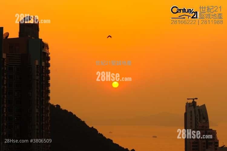 泓都 售盘 1 房 , 1 浴室 313 平方尺