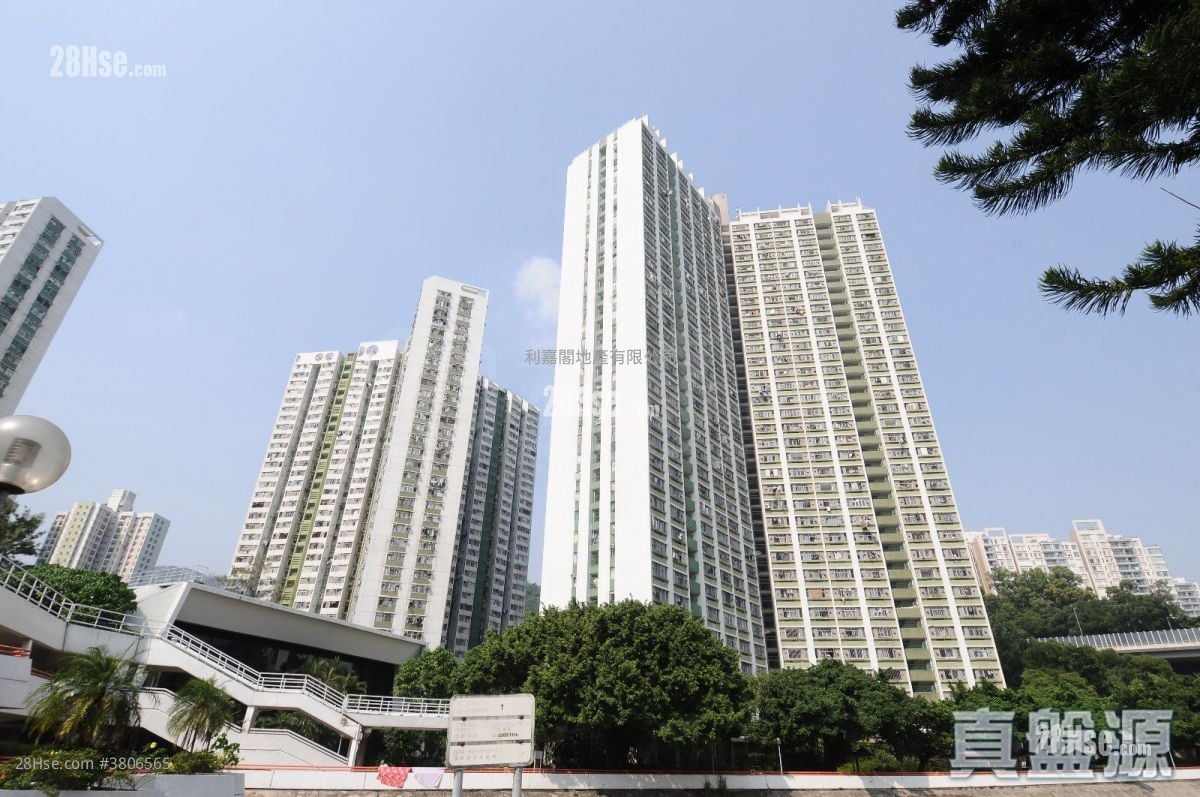 美城苑 租盘 3 房 , 1 浴室 490 平方尺