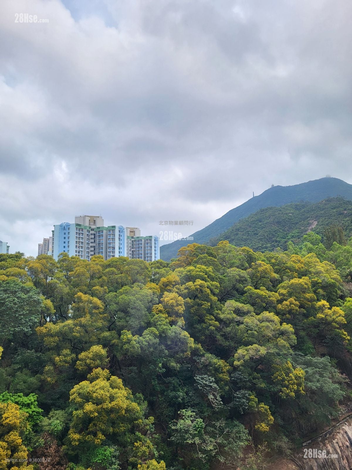 Kornhill Rental 596 ft²