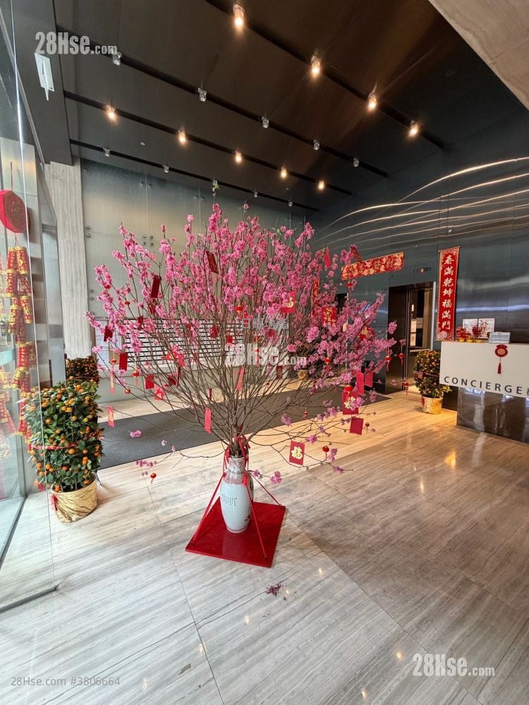 港岛东18 租盘 3 房 , 1 浴室 515 平方尺