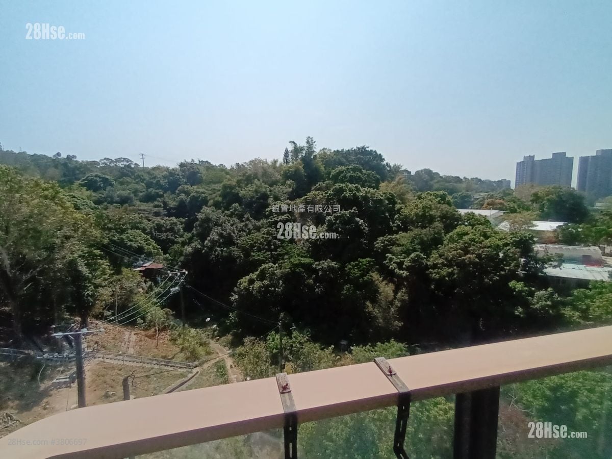 OMA OMA 售盘 1 房 , 1 浴室 351 平方尺