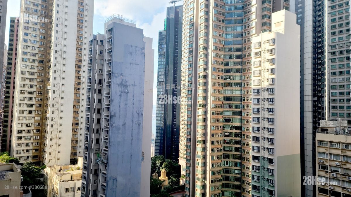 View: The Icon Rental 1 Bedroom , 1 Bathroom 452 ft²