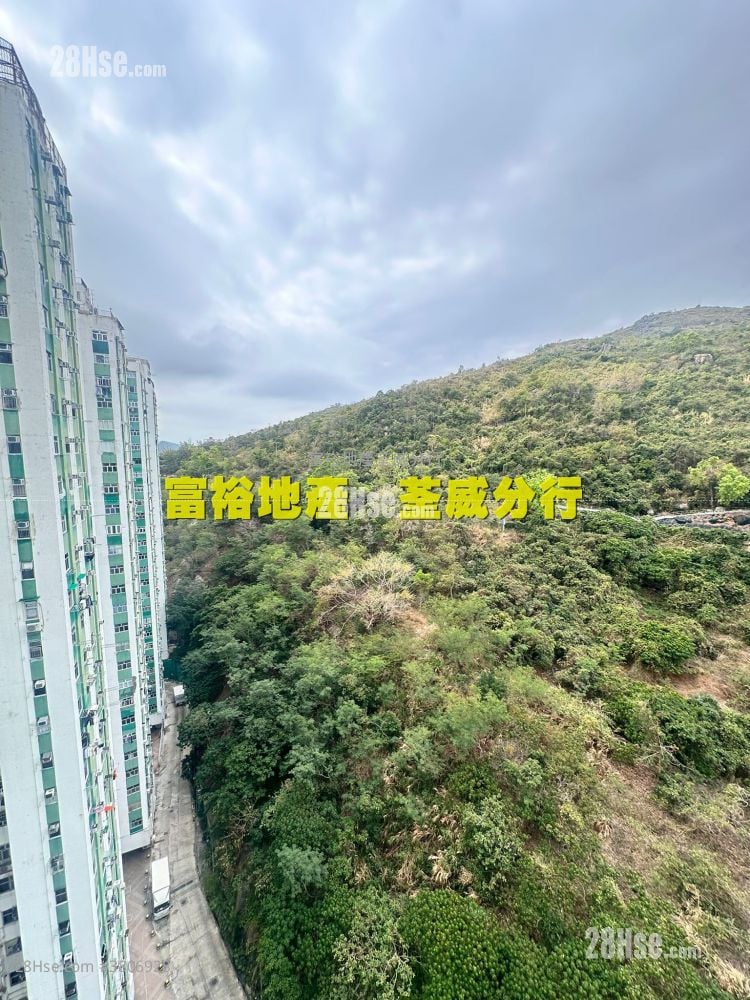 荃威花园 售盘 546 平方尺