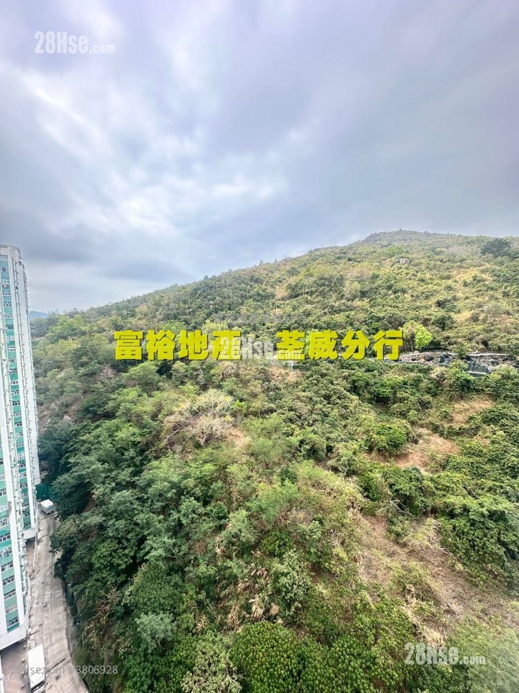 荃威花园 售盘 546 平方尺