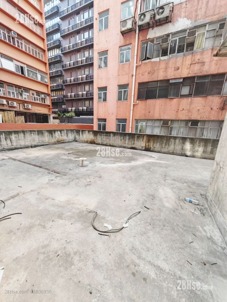 ●特大公用平台