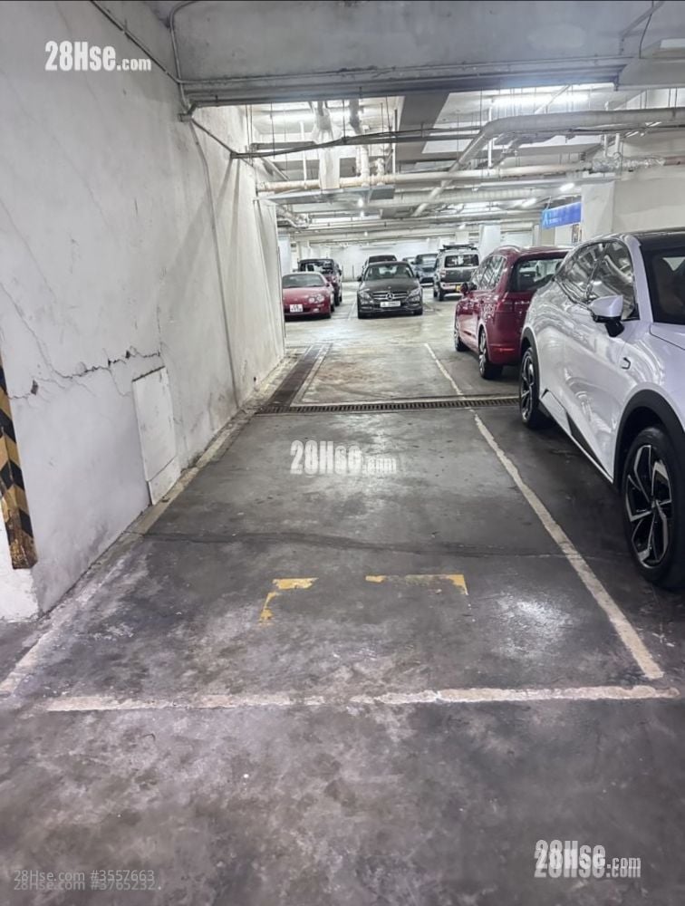 Vista Paradiso Rental