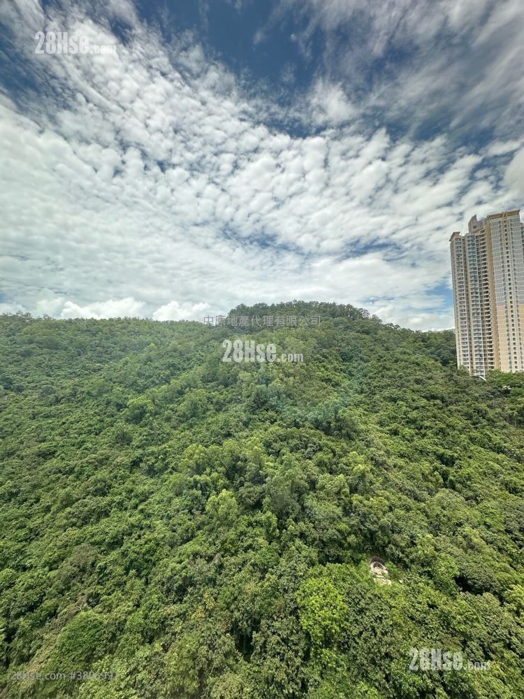 晓峰园 售盘 2 房 , 1 浴室 548 平方尺